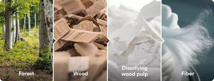 21世纪的绿色纤维 21世纪的绿色纤维